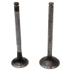 Inlet - Exhaust Valve for Japanese tractor Iseki TX1300-TX1500